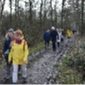 Wandeling Platwijers 17 februari 2022